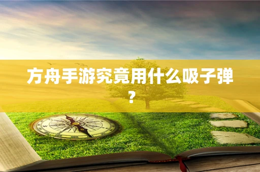 方舟手游究竟用什么吸子弹？