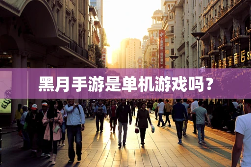 黑月手游是单机游戏吗？