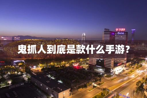 鬼抓人到底是款什么手游？