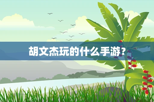 胡文杰玩的什么手游？