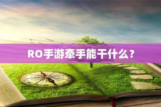 RO手游牵手能干什么？