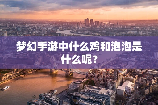 梦幻手游中什么鸡和泡泡是什么呢？