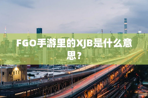 FGO手游里的XJB是什么意思？