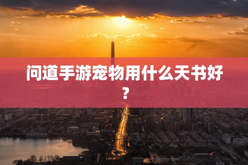 问道手游宠物用什么天书好？