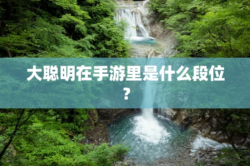 大聪明在手游里是什么段位？