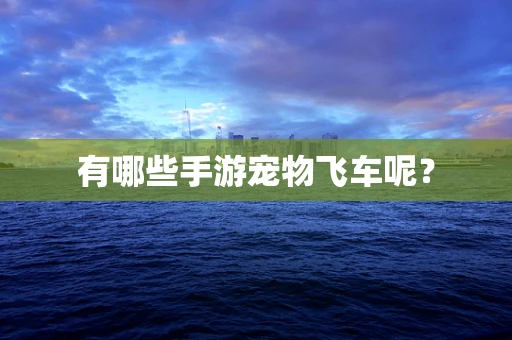 有哪些手游宠物飞车呢？