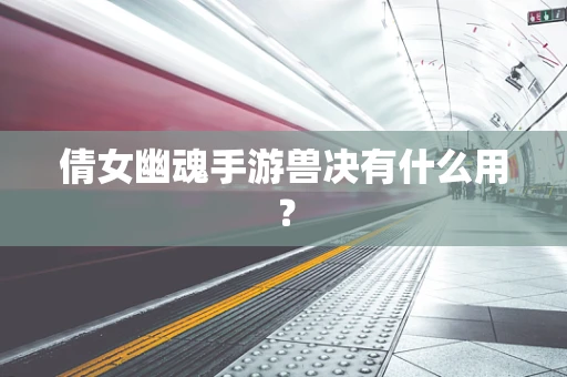 倩女幽魂手游兽决有什么用？