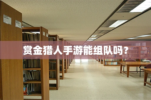 赏金猎人手游能组队吗？