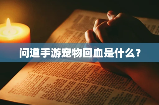 问道手游宠物回血是什么？