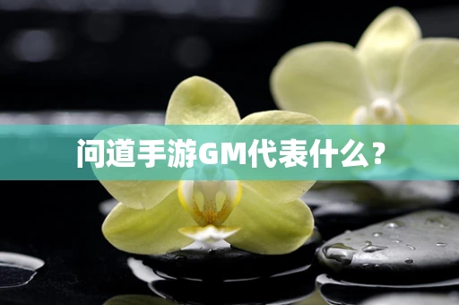 问道手游GM代表什么？