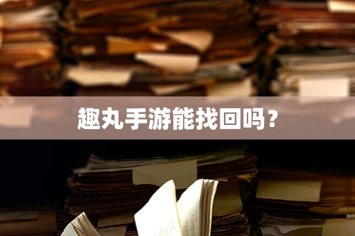 趣丸手游能找回吗？