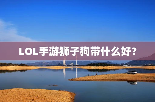 LOL手游狮子狗带什么好？