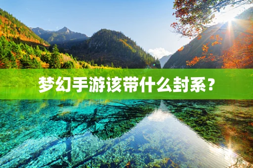 梦幻手游该带什么封系？