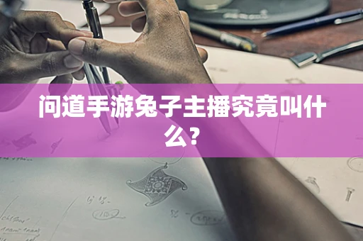 问道手游兔子主播究竟叫什么？