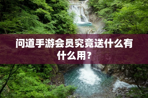问道手游会员究竟送什么有什么用？