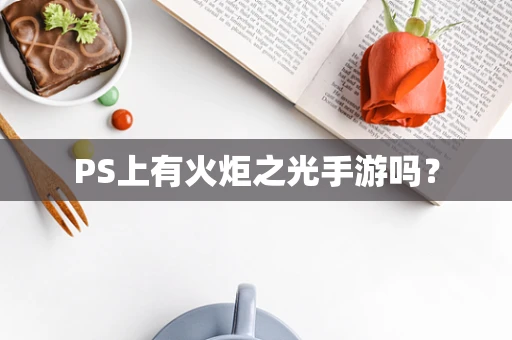 PS上有火炬之光手游吗？