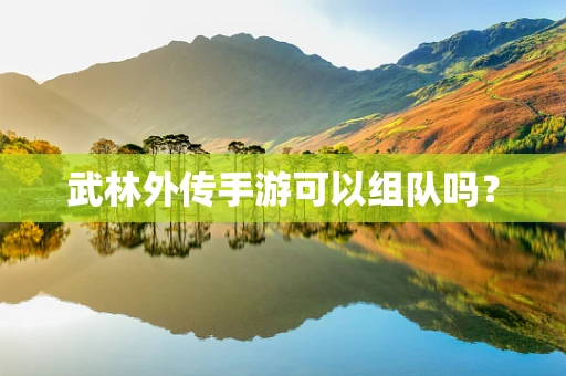 武林外传手游可以组队吗？