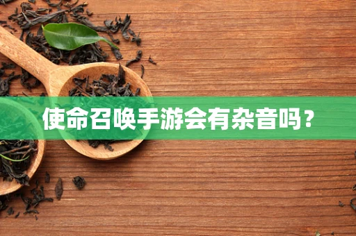 使命召唤手游会有杂音吗？