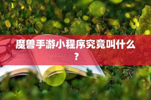 魔兽手游小程序究竟叫什么？