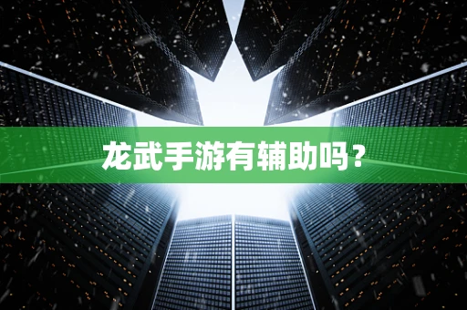 龙武手游有辅助吗？