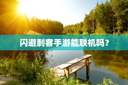闪避刺客手游能联机吗？
