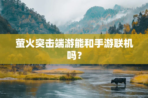 萤火突击端游能和手游联机吗？
