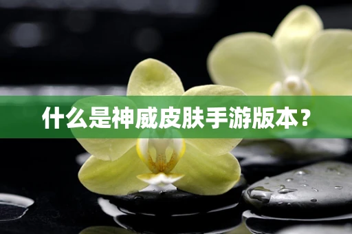 什么是神威皮肤手游版本？