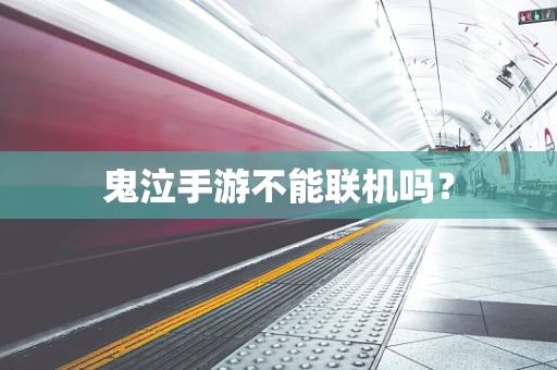 鬼泣手游不能联机吗？