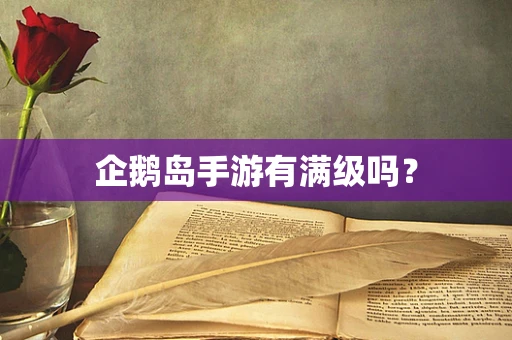 企鹅岛手游有满级吗？