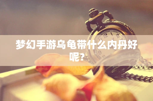梦幻手游乌龟带什么内丹好呢？