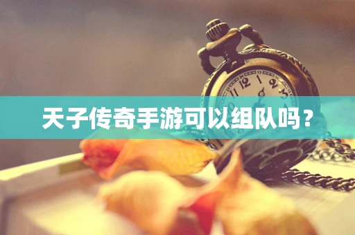 天子传奇手游可以组队吗？