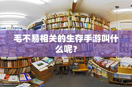 毛不易相关的生存手游叫什么呢？