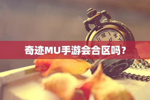 奇迹MU手游会合区吗？