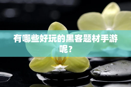 有哪些好玩的黑客题材手游呢？