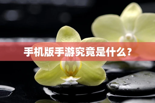 手机版手游究竟是什么？