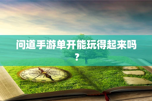 问道手游单开能玩得起来吗？