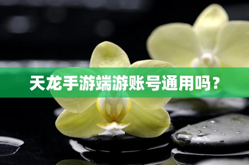 天龙手游端游账号通用吗？