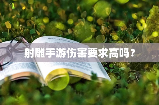 射雕手游伤害要求高吗？