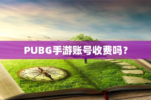 PUBG手游账号收费吗？