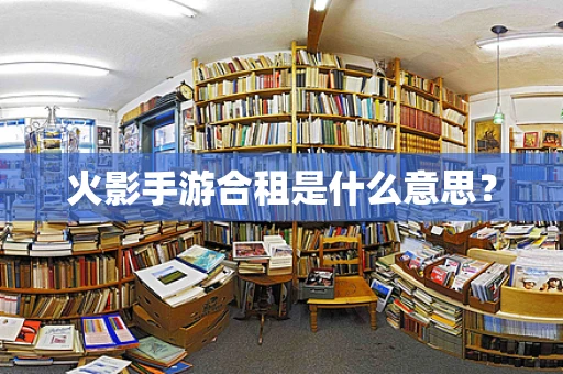 火影手游合租是什么意思？