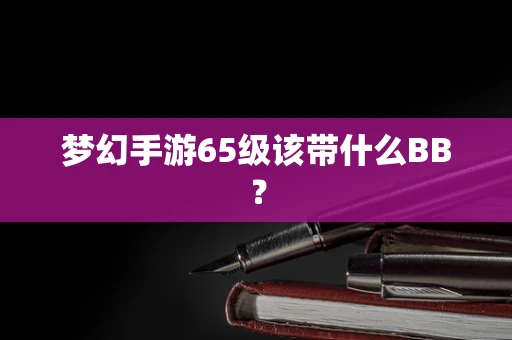 梦幻手游65级该带什么BB？