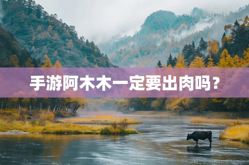 手游阿木木一定要出肉吗？