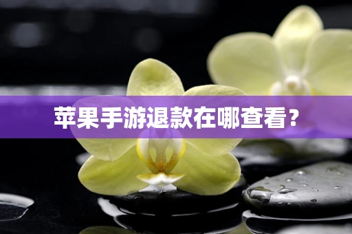 苹果手游退款在哪查看？