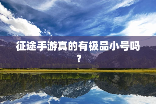 征途手游真的有极品小号吗？