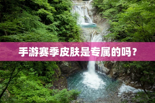 手游赛季皮肤是专属的吗？
