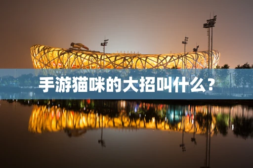 手游猫咪的大招叫什么？
