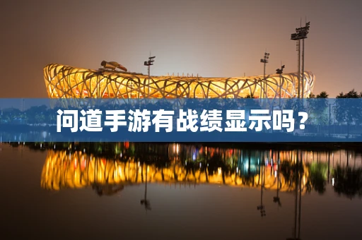 问道手游有战绩显示吗？