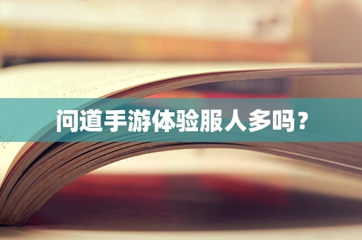 问道手游体验服人多吗？