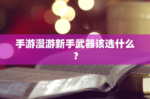 手游漫游新手武器该选什么？