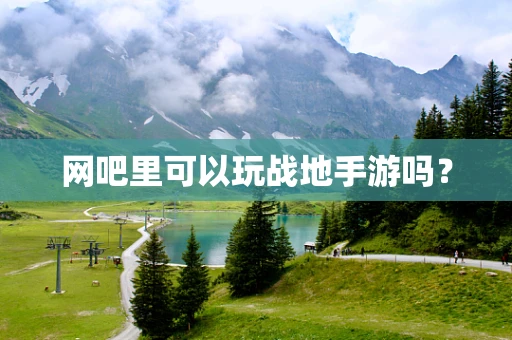 网吧里可以玩战地手游吗？